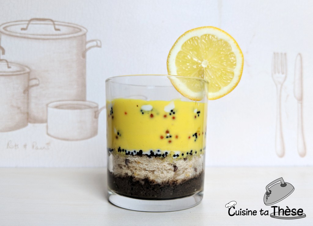 Cuisine ta thèse- Couches de sédiments phd humour thèse doctorat